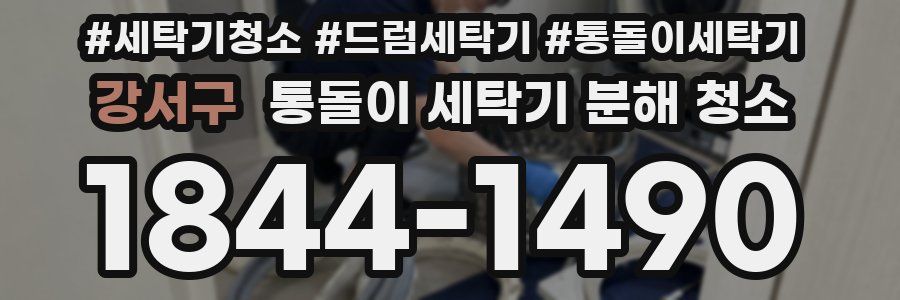 강서구 통돌이 세탁기 분해 청소