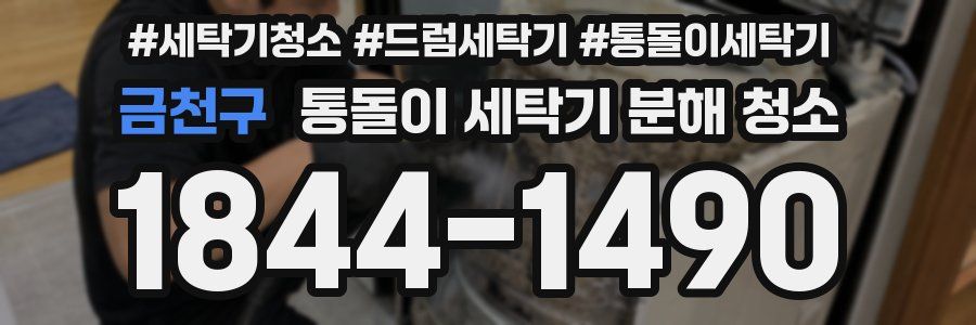 금천구 통돌이 세탁기 분해 청소