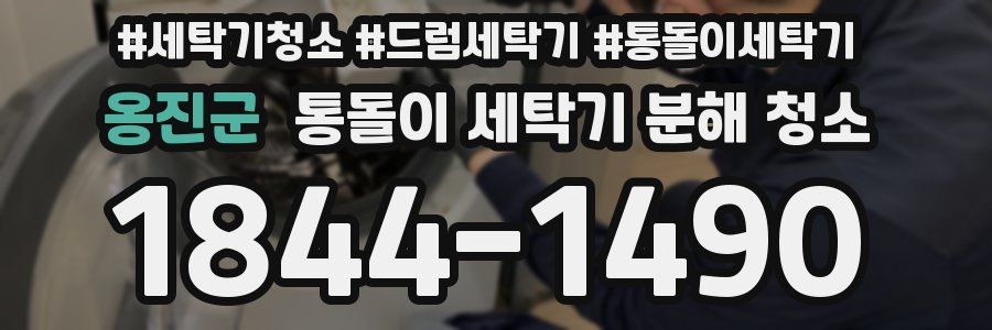 옹진군 통돌이 세탁기 분해 청소