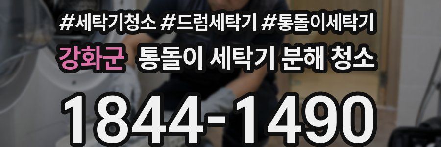 강화군 통돌이 세탁기 분해 청소