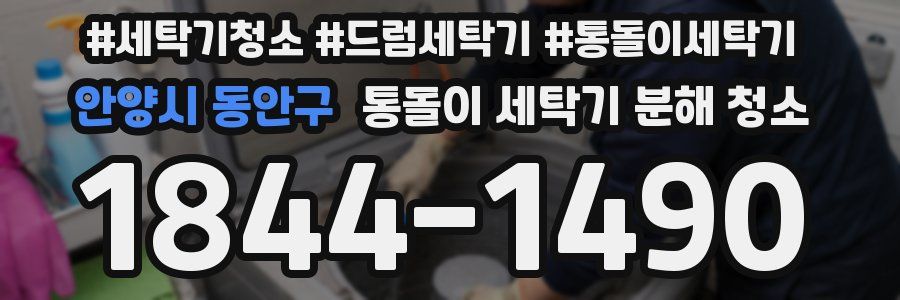 안양시 동안구 통돌이 세탁기 분해 청소