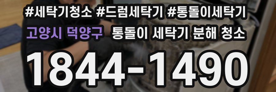 고양시 덕양구 통돌이 세탁기 분해 청소