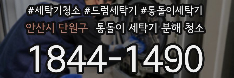 안산시 단원구 통돌이 세탁기 분해 청소