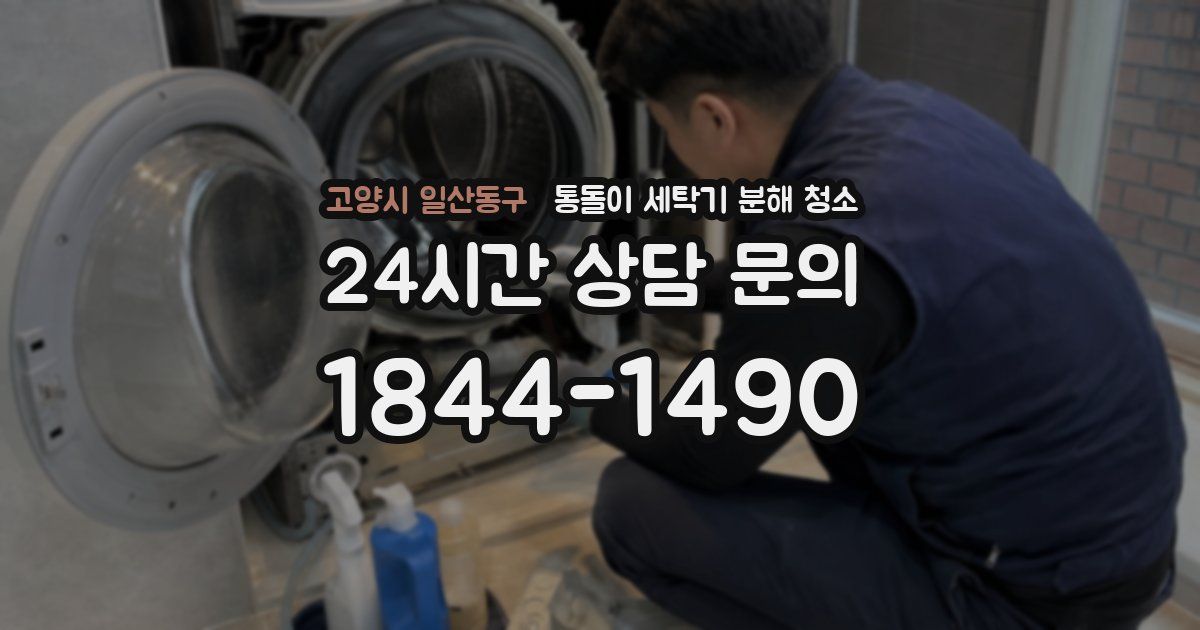 고양시 일산동구 통돌이 세탁기 분해 청소