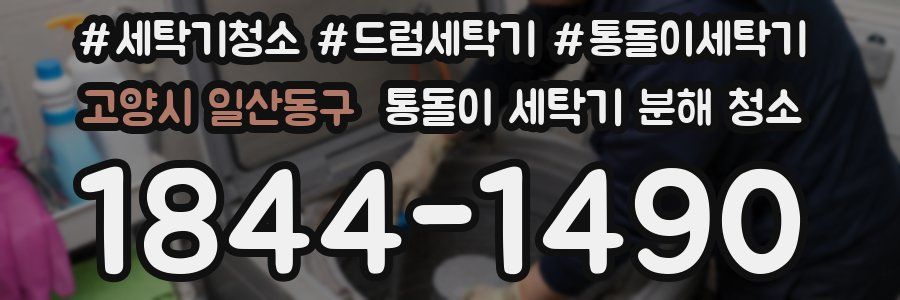 고양시 일산동구 통돌이 세탁기 분해 청소