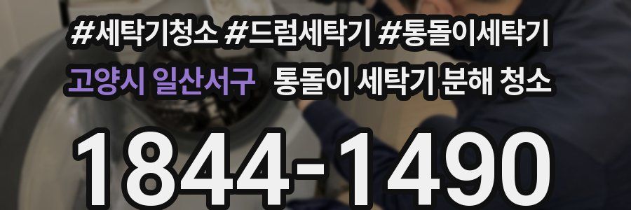 고양시 일산서구 통돌이 세탁기 분해 청소
