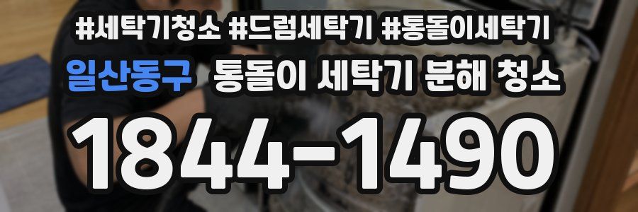 일산동구 통돌이 세탁기 분해 청소