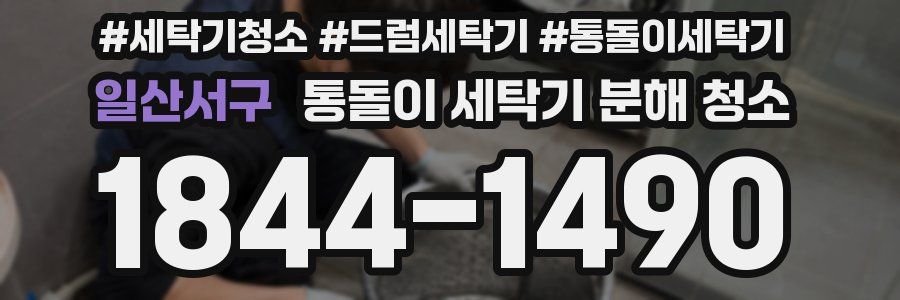 일산서구 통돌이 세탁기 분해 청소
