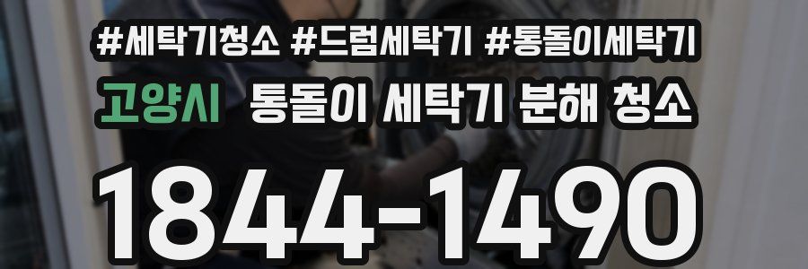 고양시 통돌이 세탁기 분해 청소