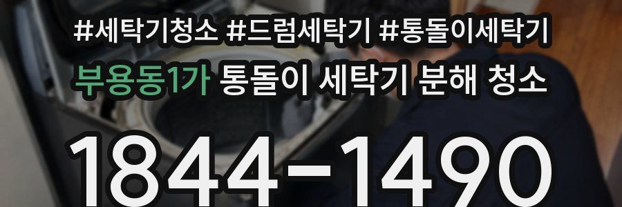 부용동1가 통돌이 세탁기 분해 청소