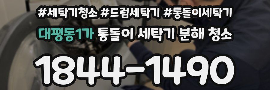 대평동1가 통돌이 세탁기 분해 청소