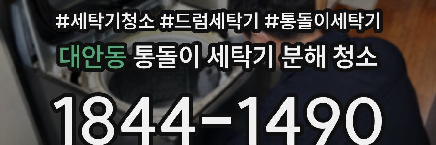 대안동 통돌이 세탁기 분해 청소
