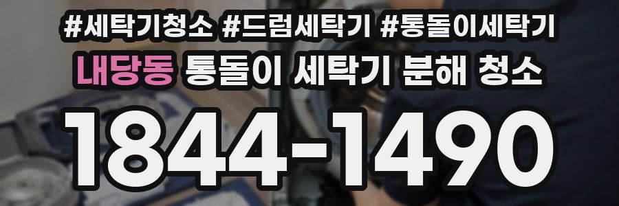 내당동 통돌이 세탁기 분해 청소