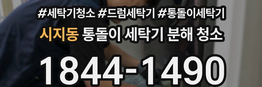 시지동 통돌이 세탁기 분해 청소