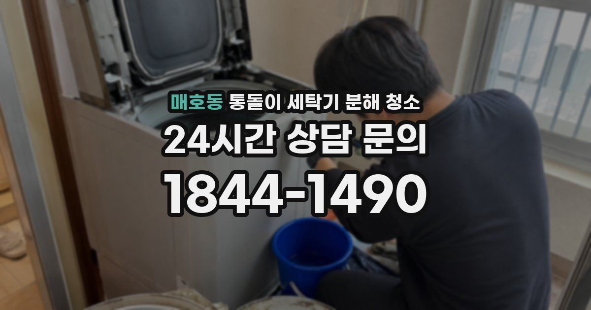 매호동 통돌이 세탁기 분해 청소