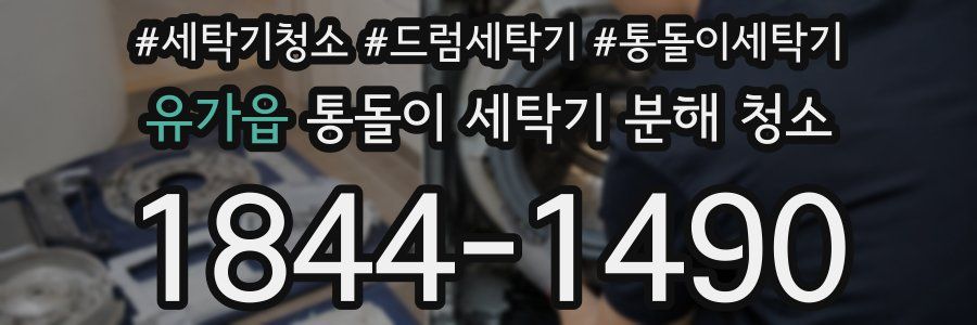 유가읍 통돌이 세탁기 분해 청소