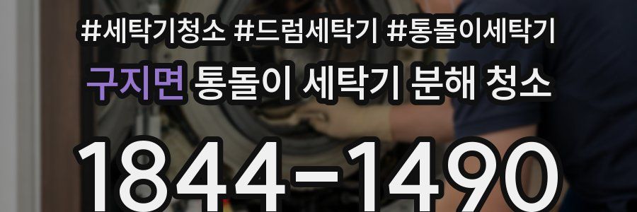 구지면 통돌이 세탁기 분해 청소