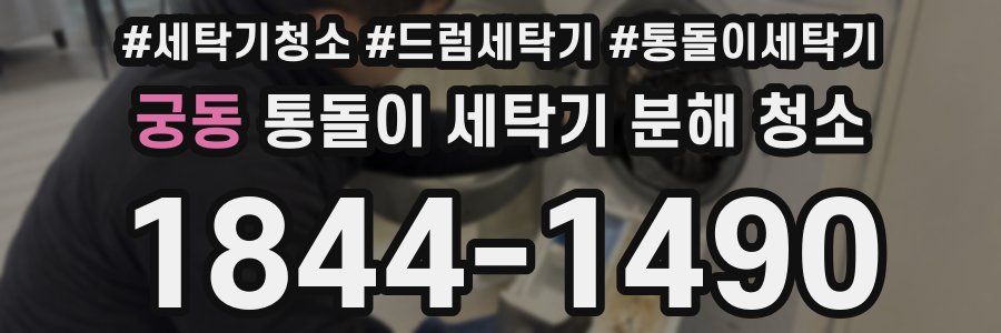 궁동 통돌이 세탁기 분해 청소