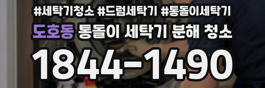 도호동 통돌이 세탁기 분해 청소