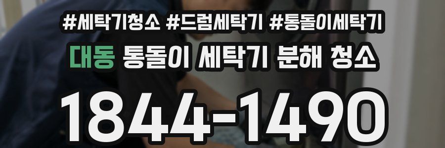 대동 통돌이 세탁기 분해 청소