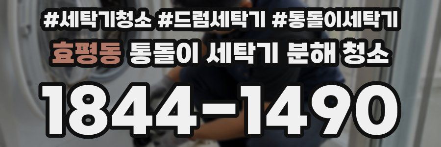 효평동 통돌이 세탁기 분해 청소