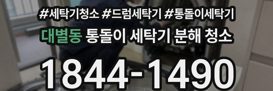대별동 통돌이 세탁기 분해 청소
