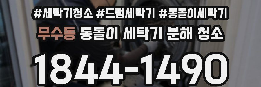 무수동 통돌이 세탁기 분해 청소