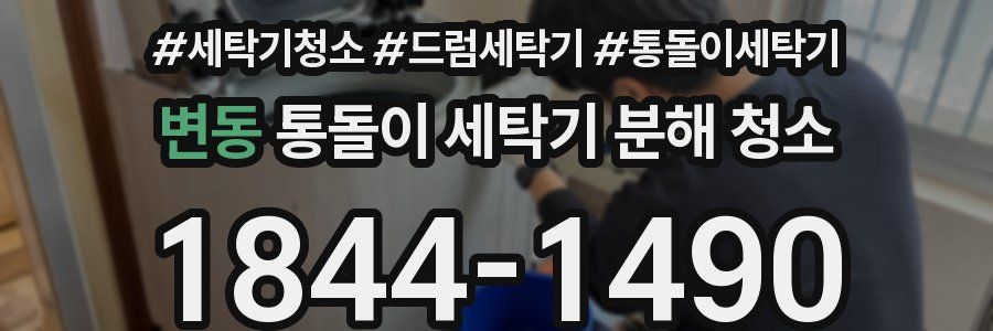 변동 통돌이 세탁기 분해 청소