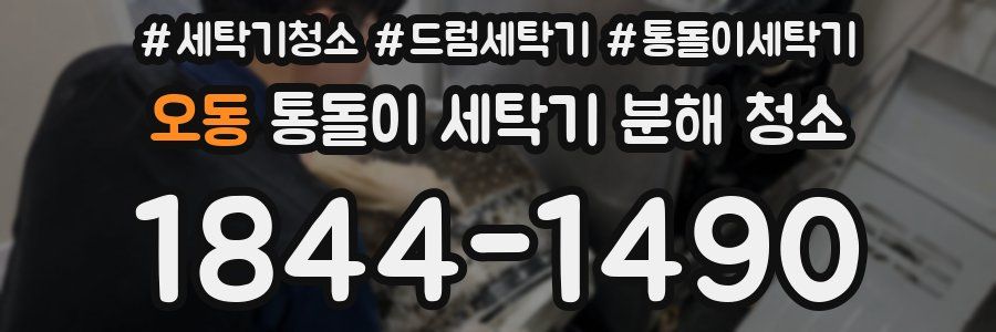 오동 통돌이 세탁기 분해 청소