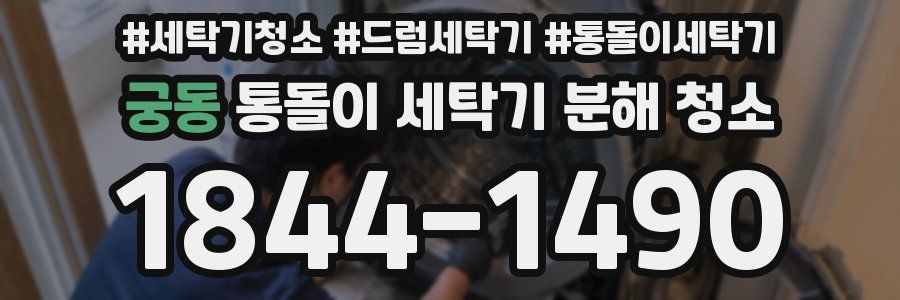 궁동 통돌이 세탁기 분해 청소