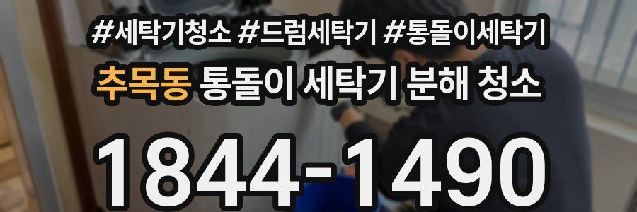 추목동 통돌이 세탁기 분해 청소