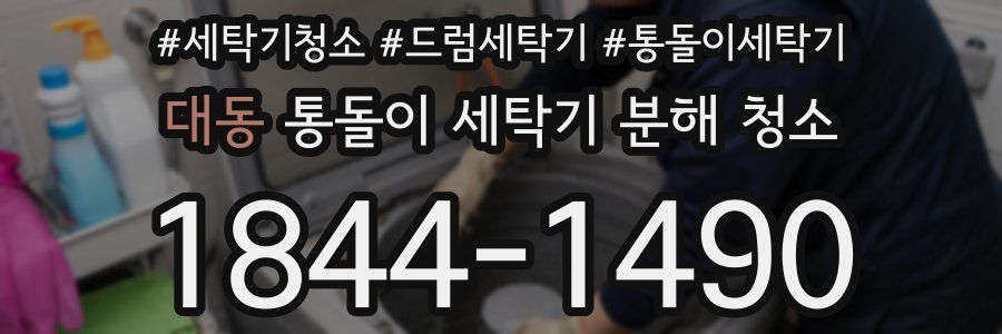 대동 통돌이 세탁기 분해 청소