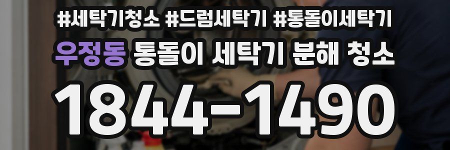 우정동 통돌이 세탁기 분해 청소