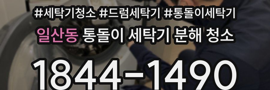일산동 통돌이 세탁기 분해 청소