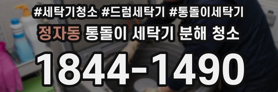 정자동 통돌이 세탁기 분해 청소