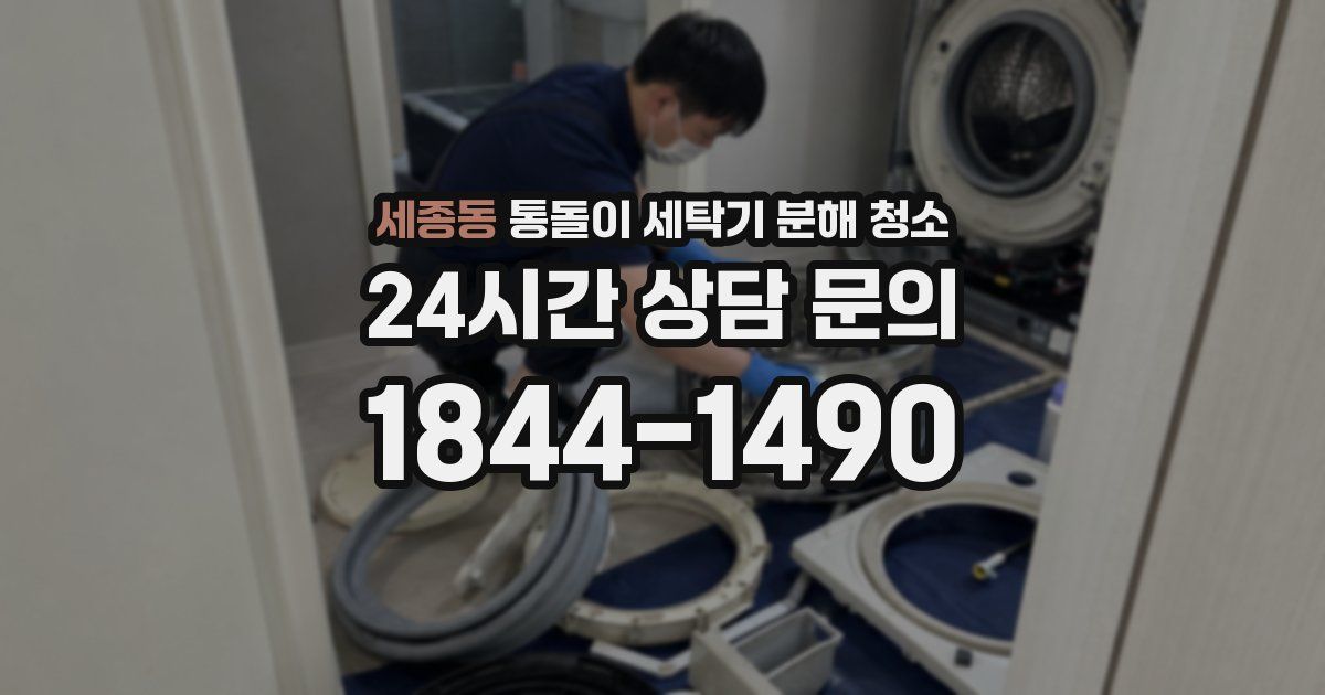세종동 통돌이 세탁기 분해 청소