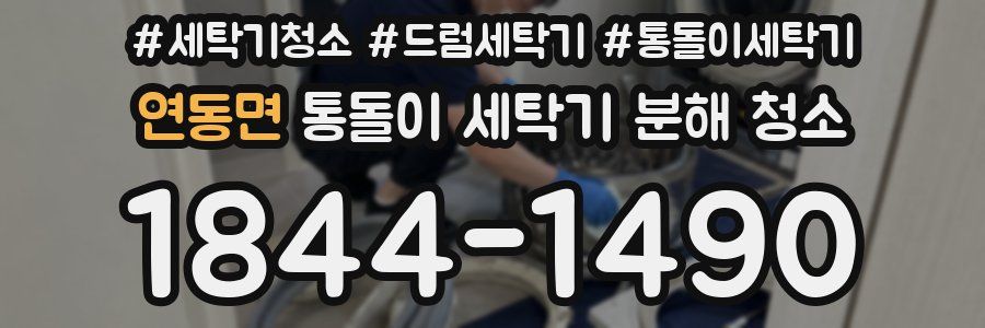 연동면 통돌이 세탁기 분해 청소