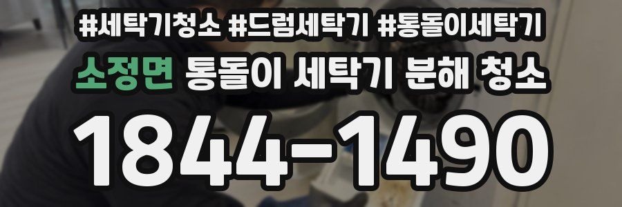 소정면 통돌이 세탁기 분해 청소