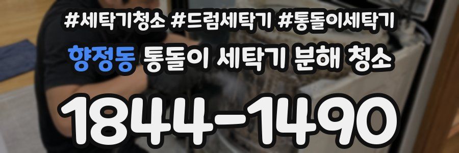 향정동 통돌이 세탁기 분해 청소