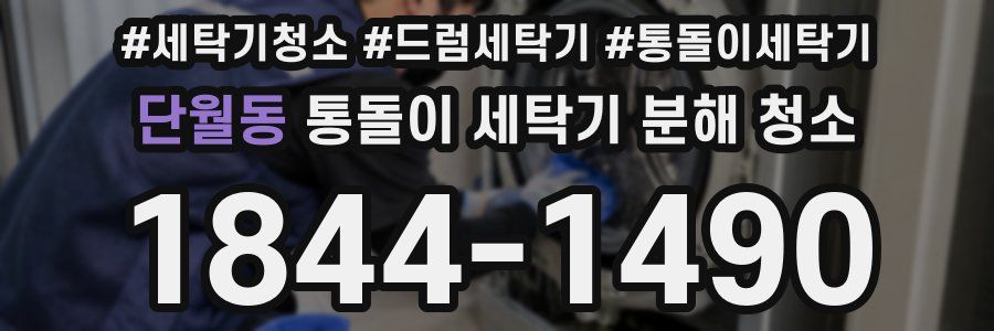 단월동 통돌이 세탁기 분해 청소