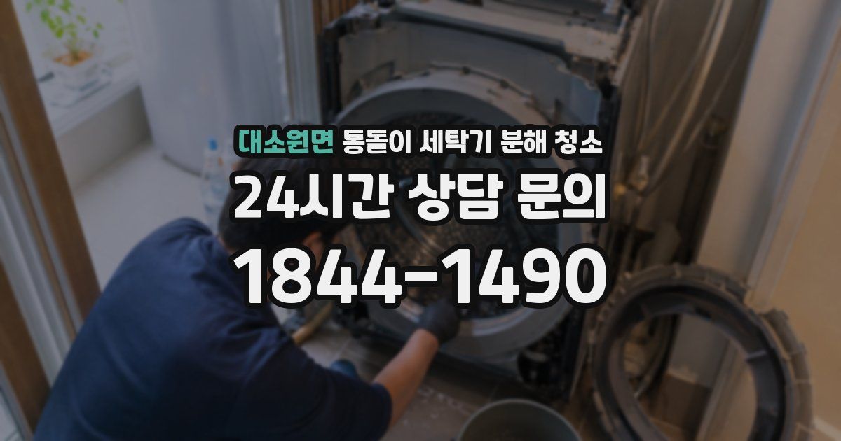 대소원면 통돌이 세탁기 분해 청소