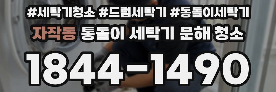 자작동 통돌이 세탁기 분해 청소