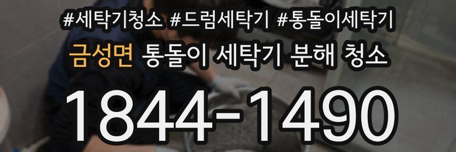 금성면 통돌이 세탁기 분해 청소
