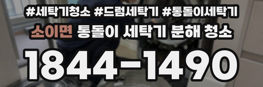 소이면 통돌이 세탁기 분해 청소
