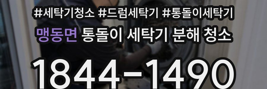 맹동면 통돌이 세탁기 분해 청소