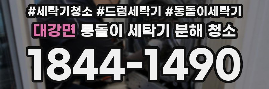 대강면 통돌이 세탁기 분해 청소