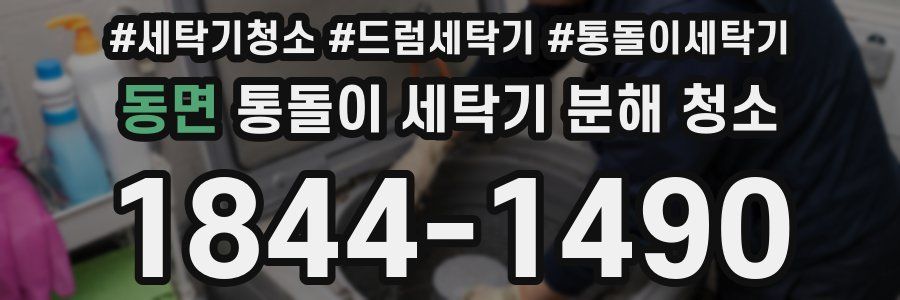 동면 통돌이 세탁기 분해 청소