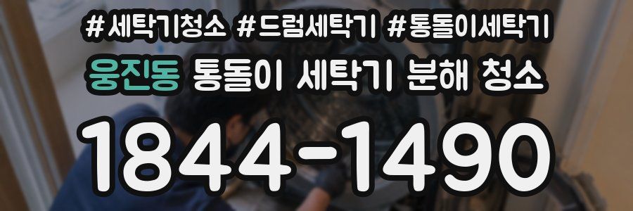 웅진동 통돌이 세탁기 분해 청소