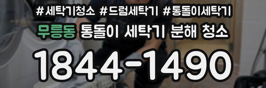 무릉동 통돌이 세탁기 분해 청소