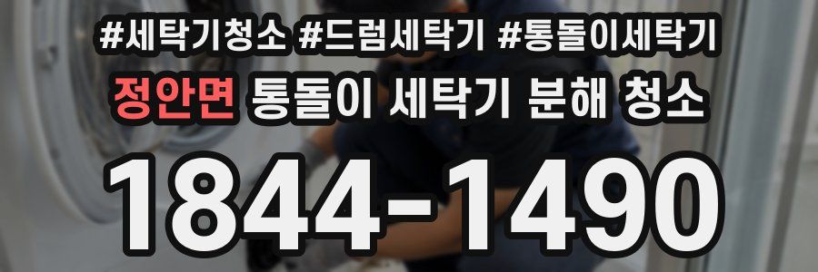 정안면 통돌이 세탁기 분해 청소